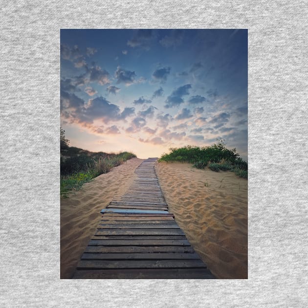 footpath through the sand by psychoshadow